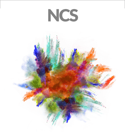 Ncs 2021