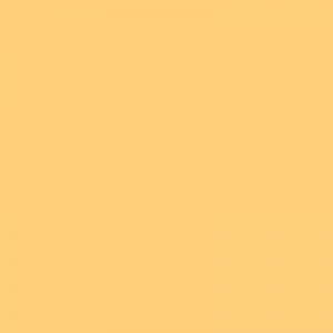 S0540Y20R-SGL