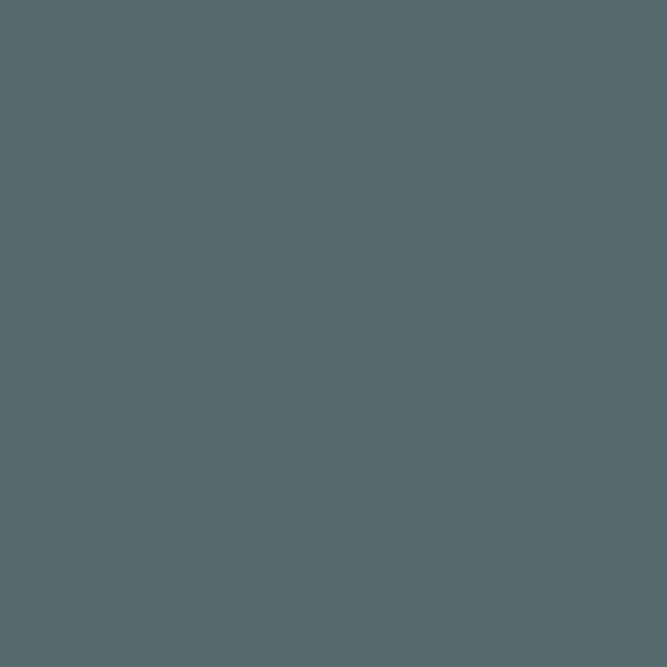 S6010B50G-SGL