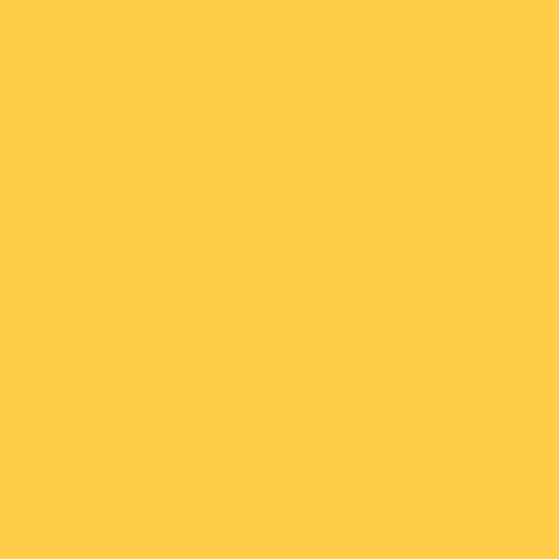 0560 Y10R.png