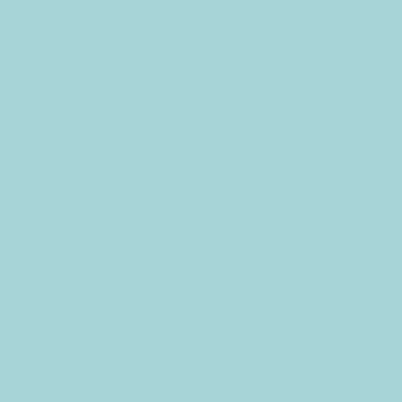1020 B40G.png