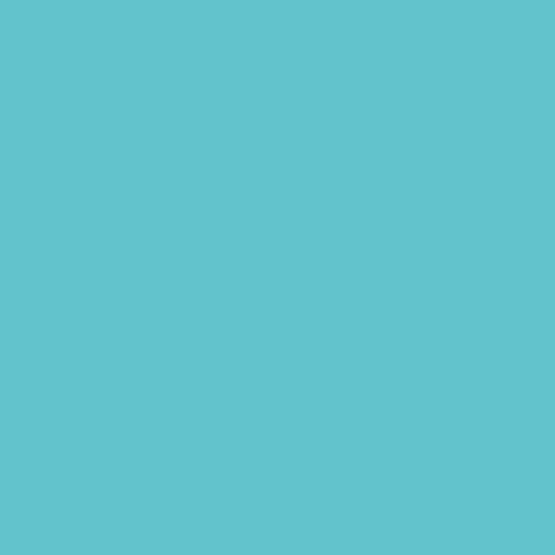 1040 B30G.png