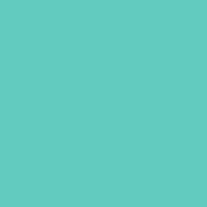 1040 B70G.png