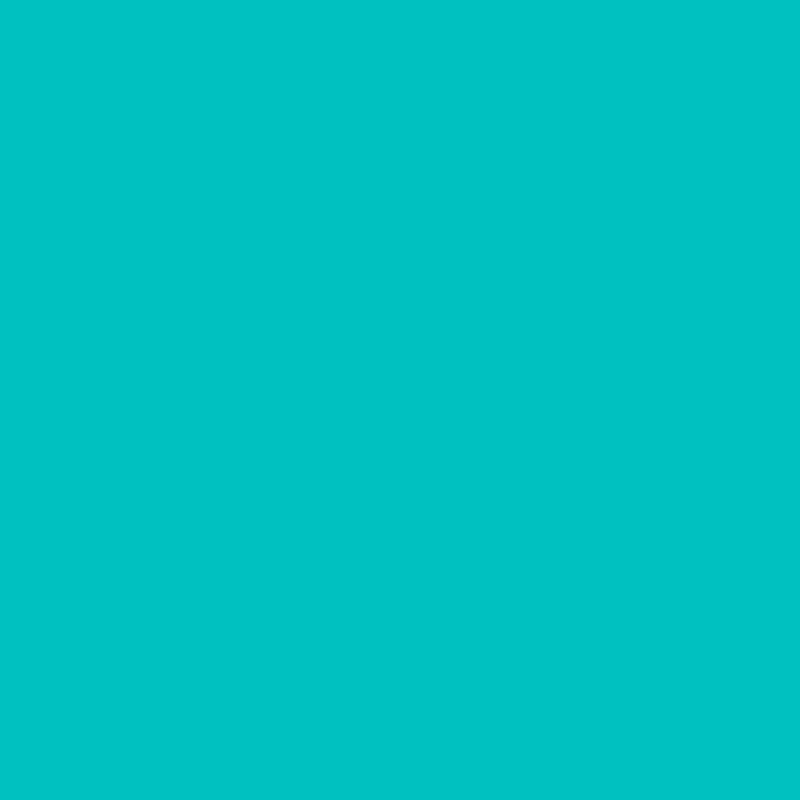 1050 B50G.png