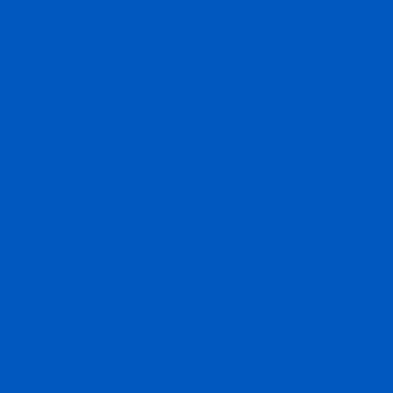 2935c.png