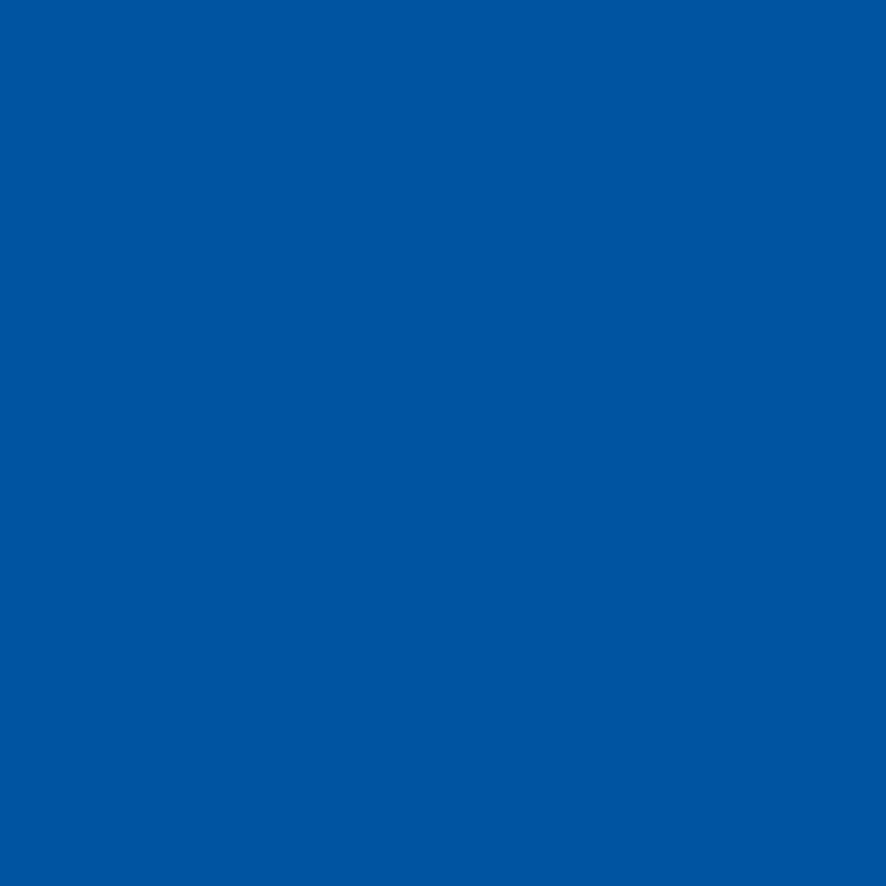 2945c.png