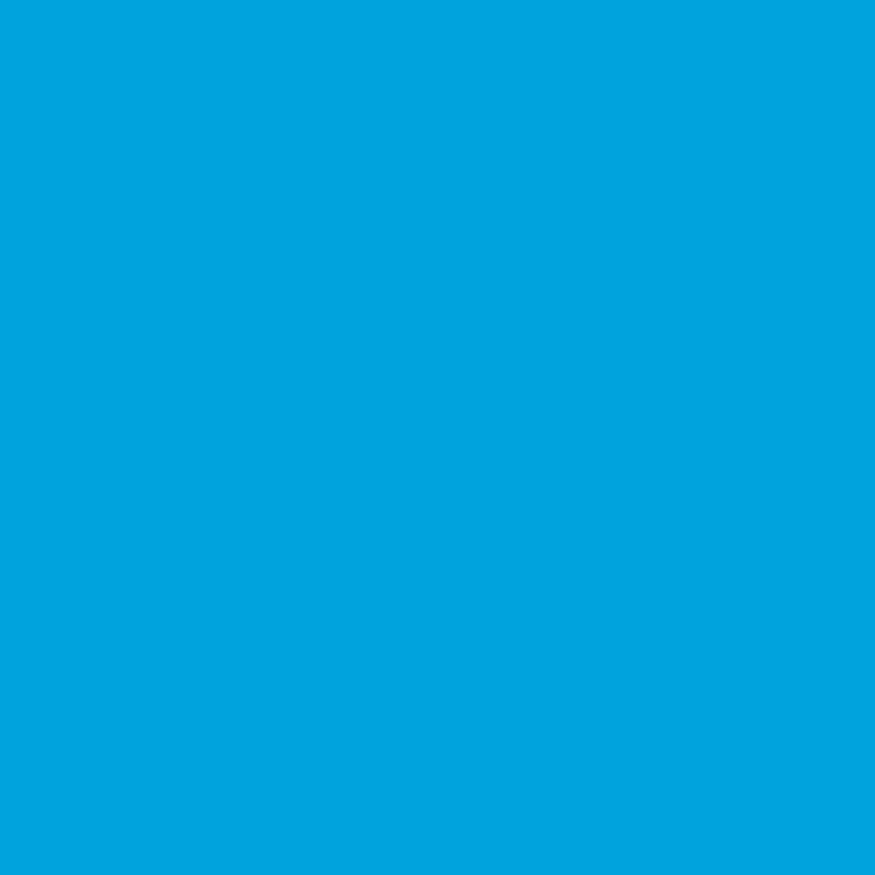 299c.png