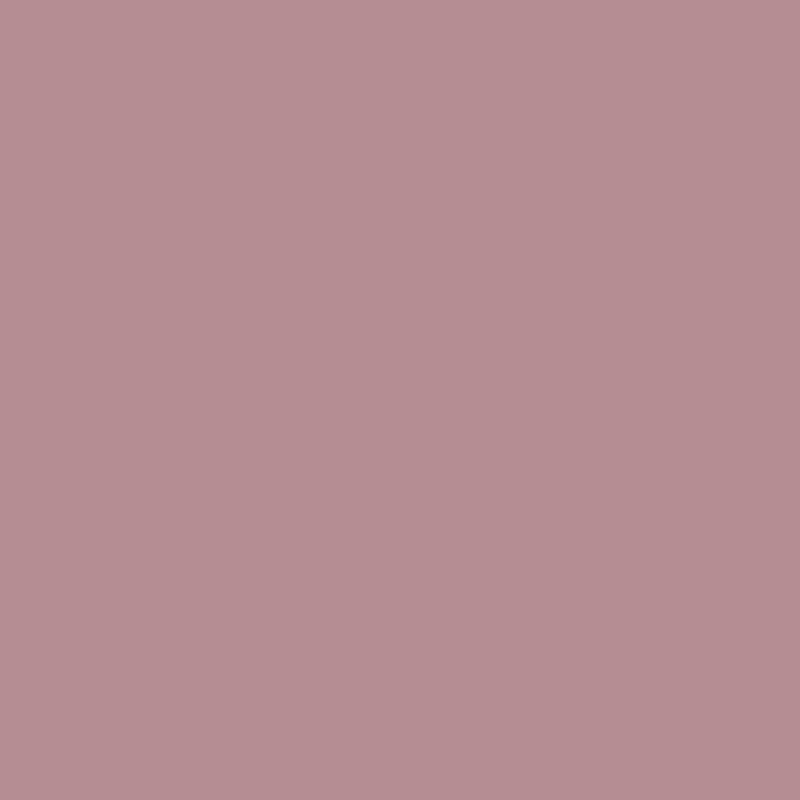 3020 R10B.png