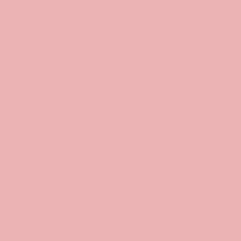 501c.png