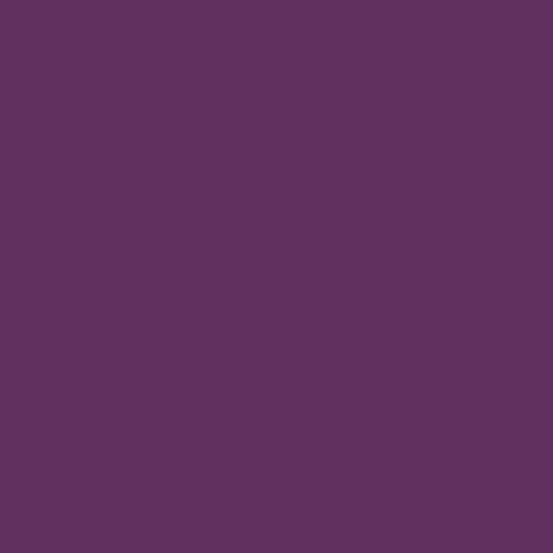 519c.png