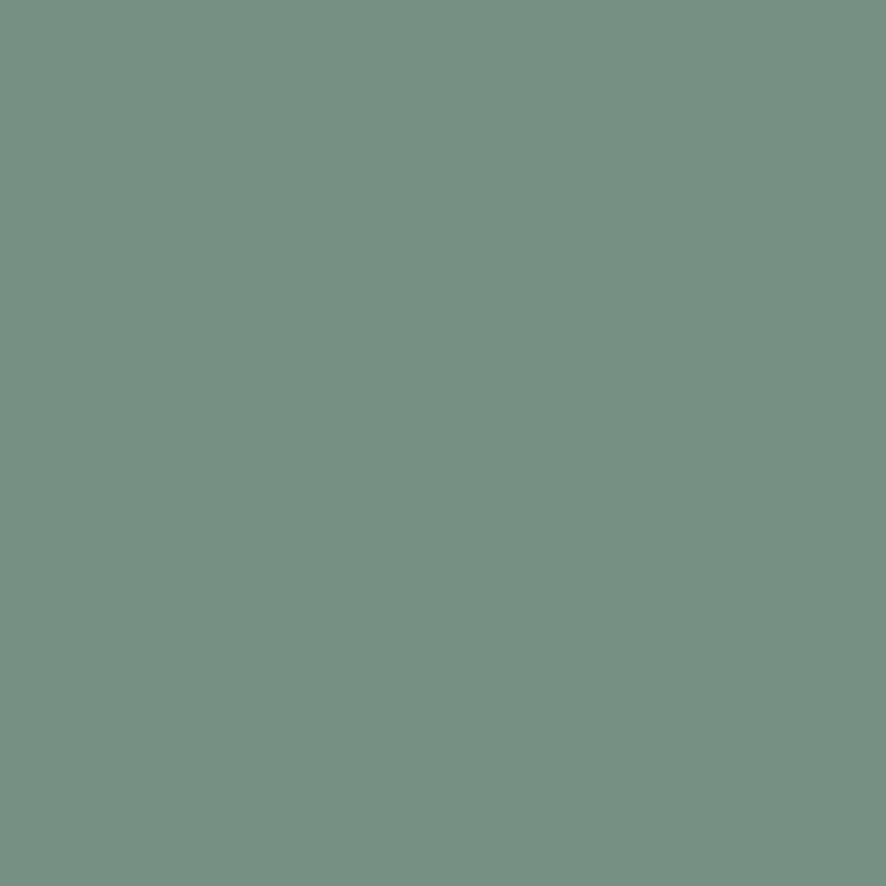5555c.png