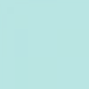 S0520B50G-SGL