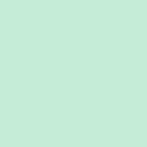 S0520G-SGL