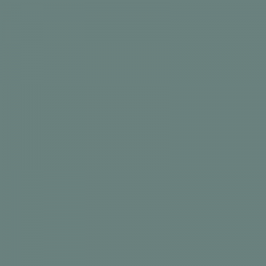 S5010B70G-SGL