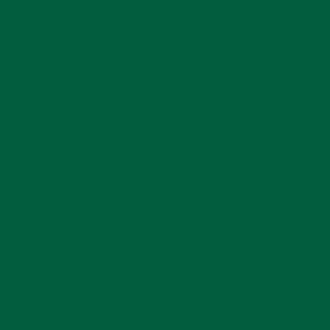 S5040G-SGL
